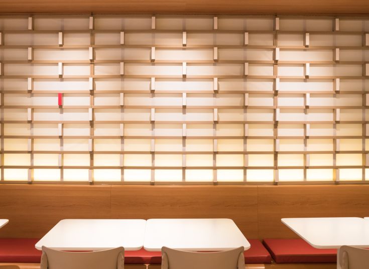 Tera Interior feature wall