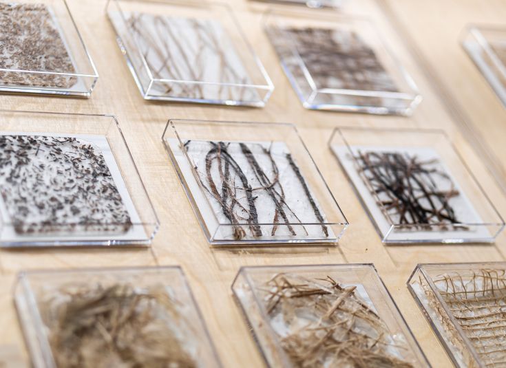 deTour Plant Matters bioplastic close up