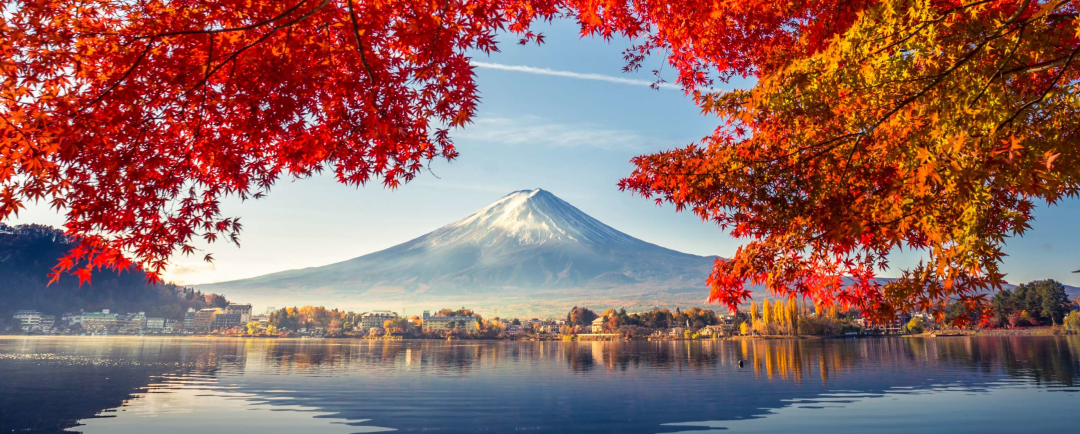 Mount Fiji landscape with autumnal trees over a lake