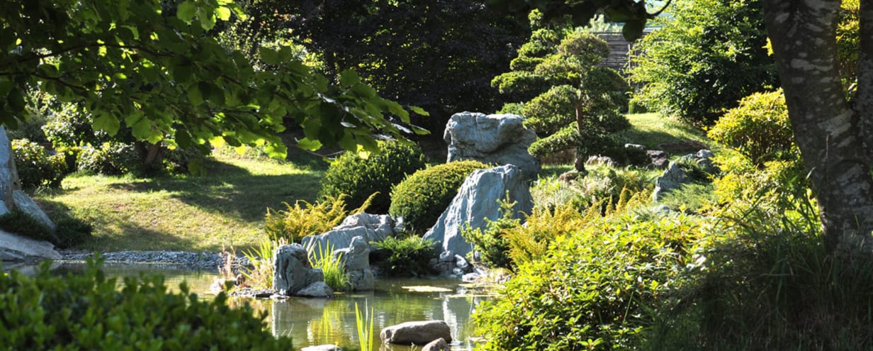 Bonsai Museum