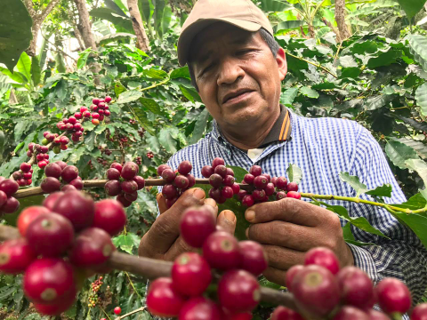 Farmer in Ecuador