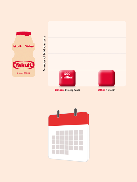 Animated red bar chart showing increase of bifidobacteria before and after drinking Yakult Original for 1 month