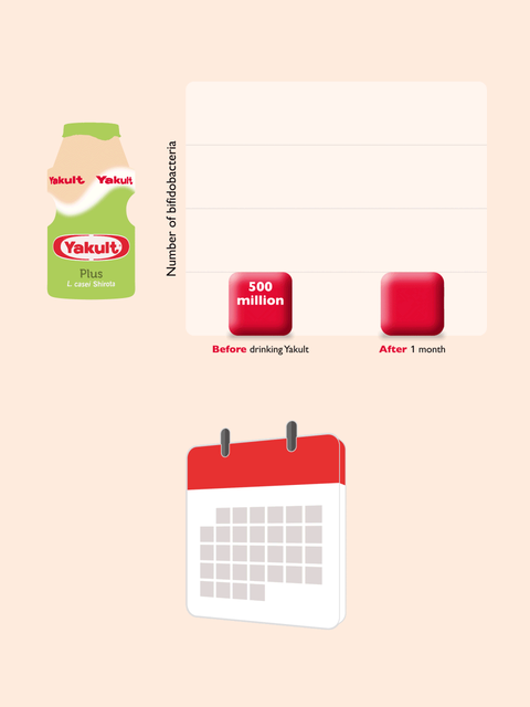 Animated red bar chart showing increase of bifidobacteria before and after drinking Yakult Plus for 1 month