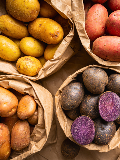 Four paper bags containing different varieties of potatoes