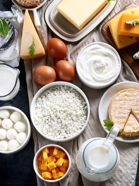 Fermentierte Lebensmittel wie Joghurt, Käse, Milch, Mozzarella