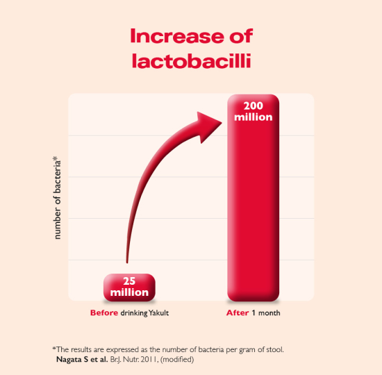 Red bar chart showing increase of lactobacilli before and after drinking Yakult for 1 month