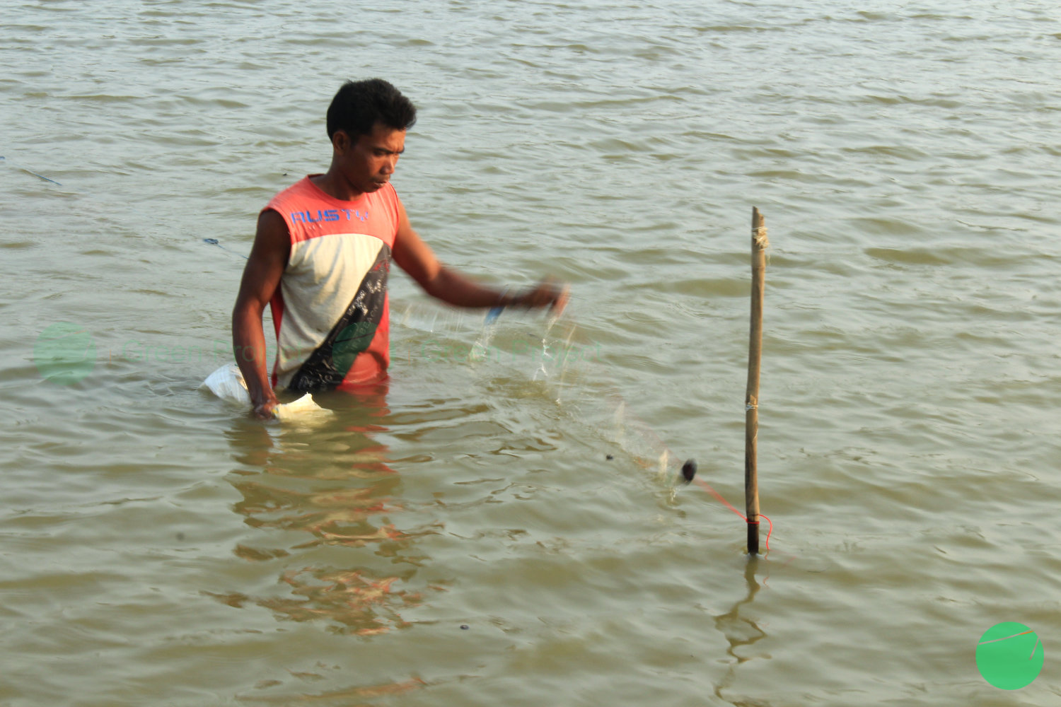 petani memasang patok di danau setu patok