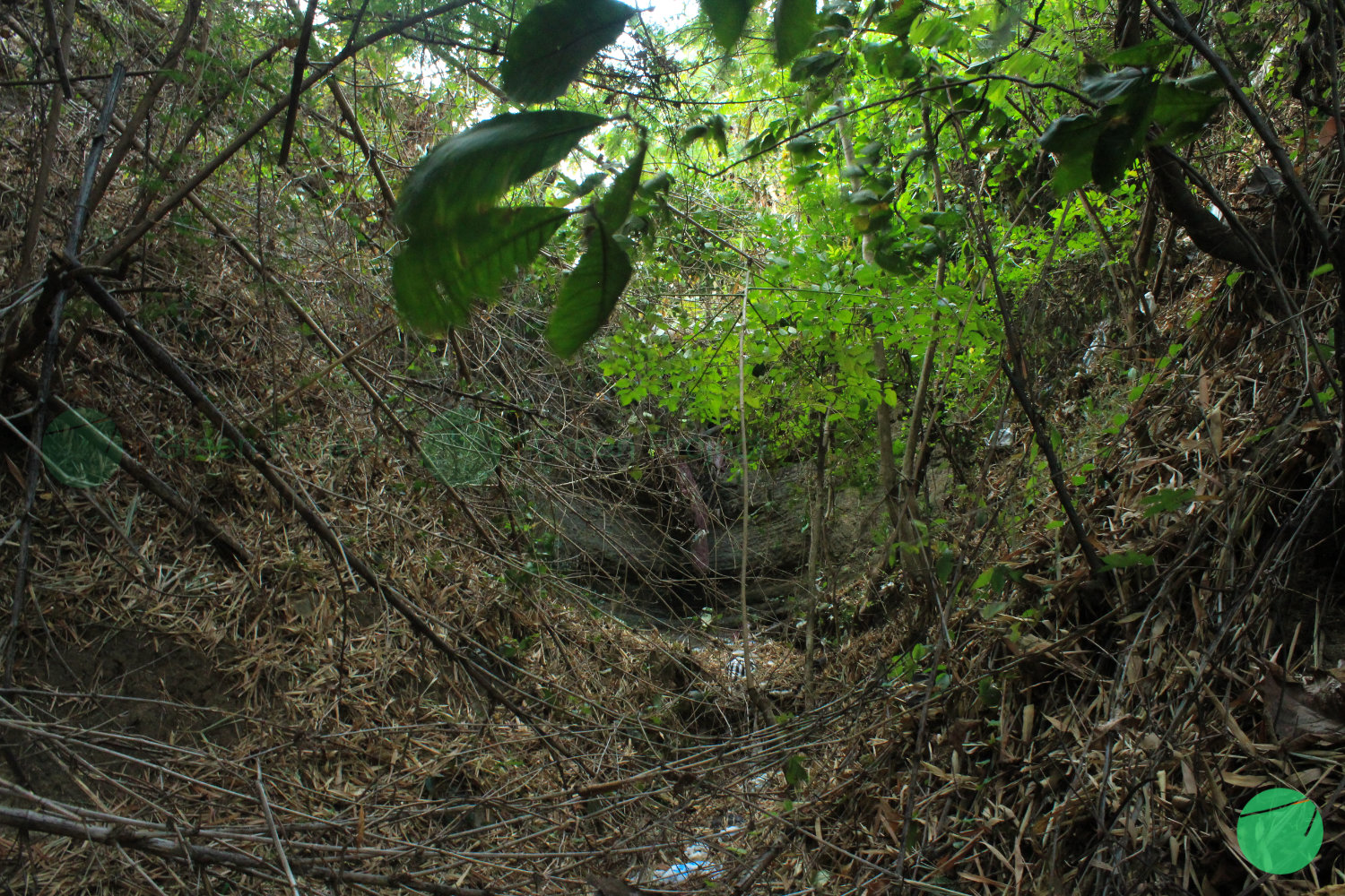 gua jepang di danau setu patok