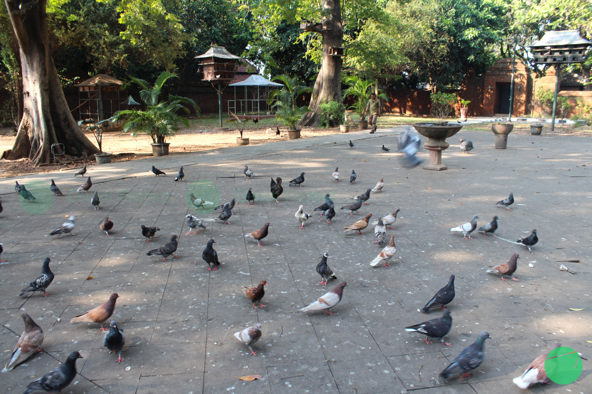 taman di keraton kasepuhan