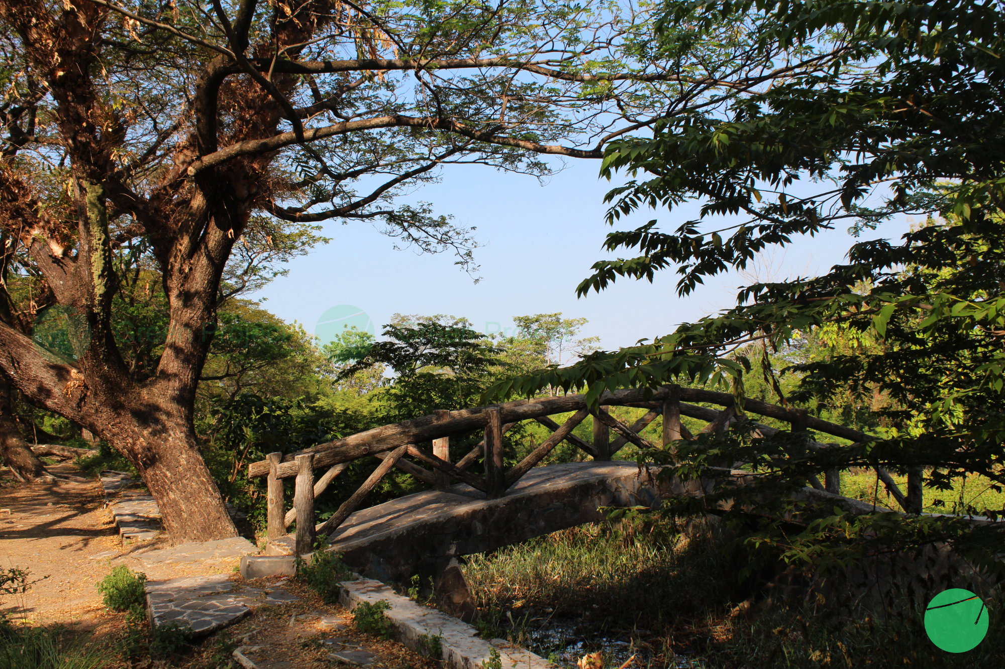 taman di keraton kasepuhan
