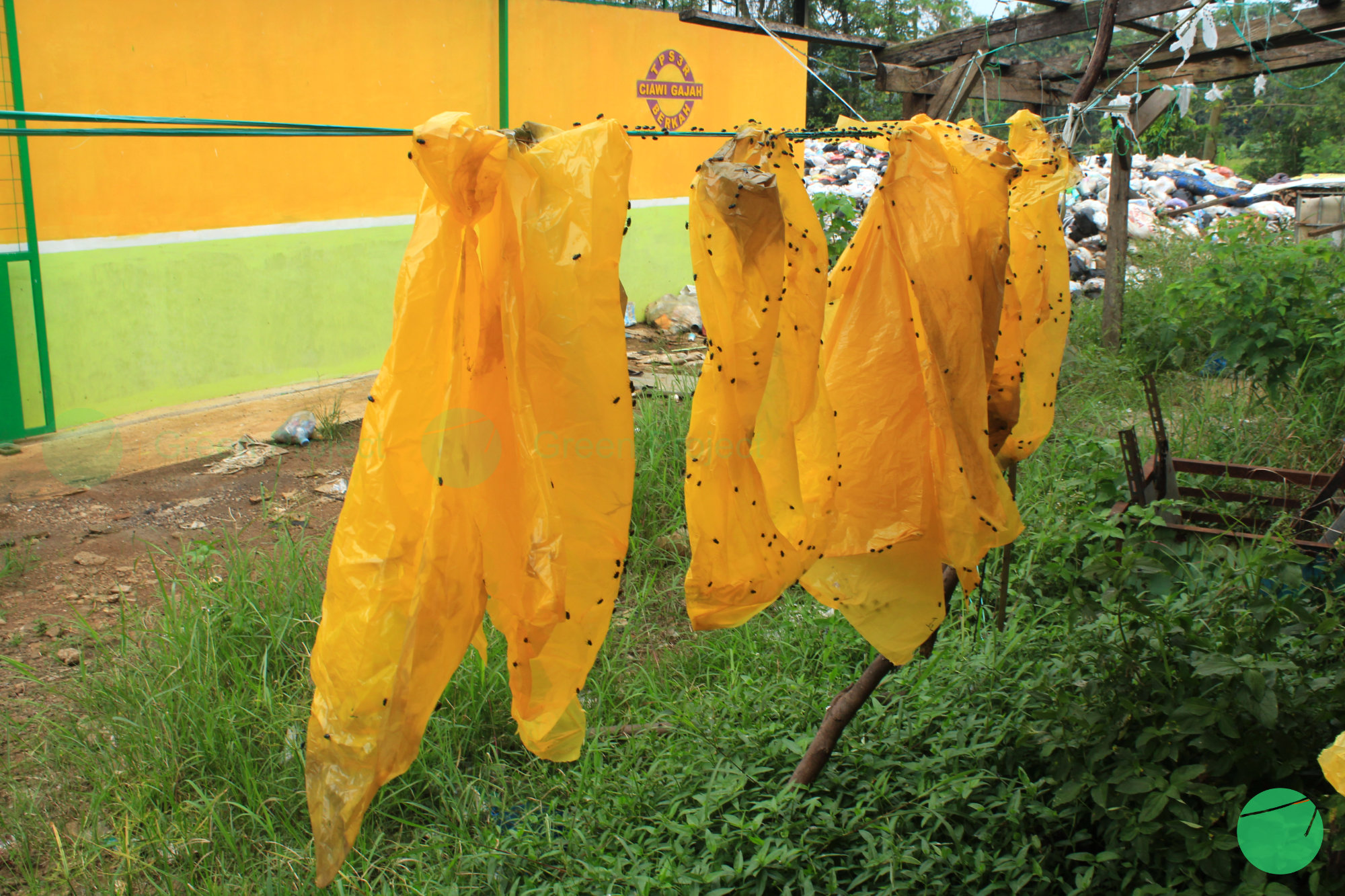 tps desa ciawigajah