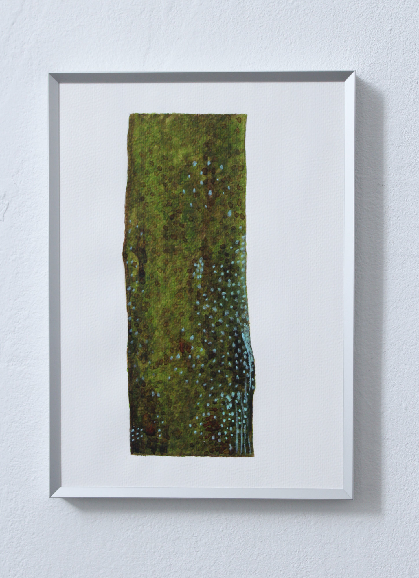 Bark Study 3