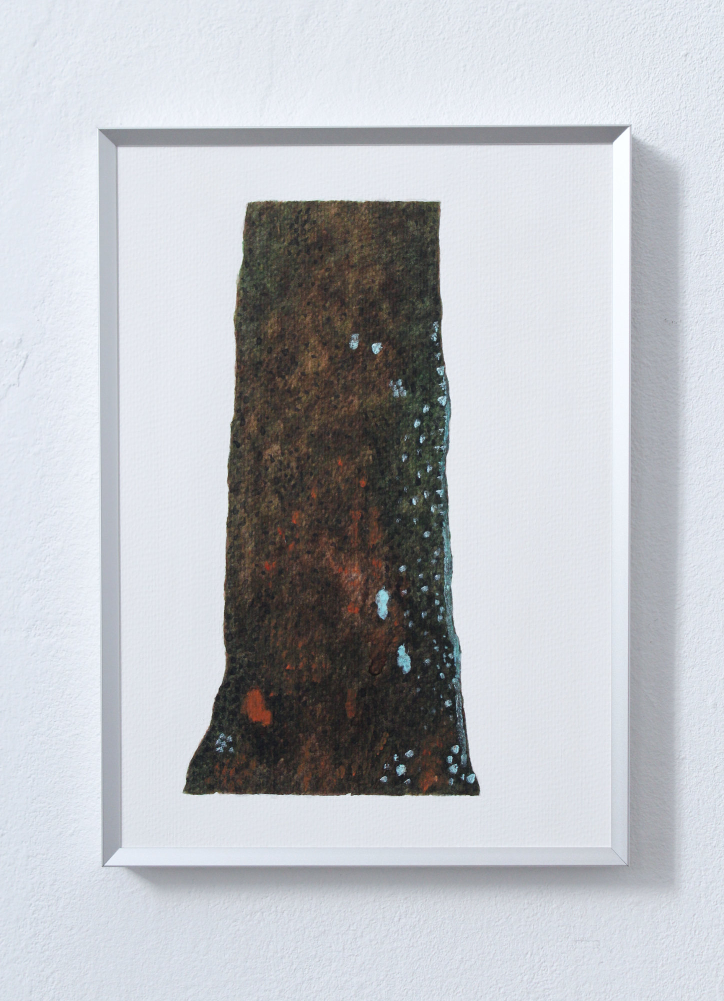 Bark Study 4