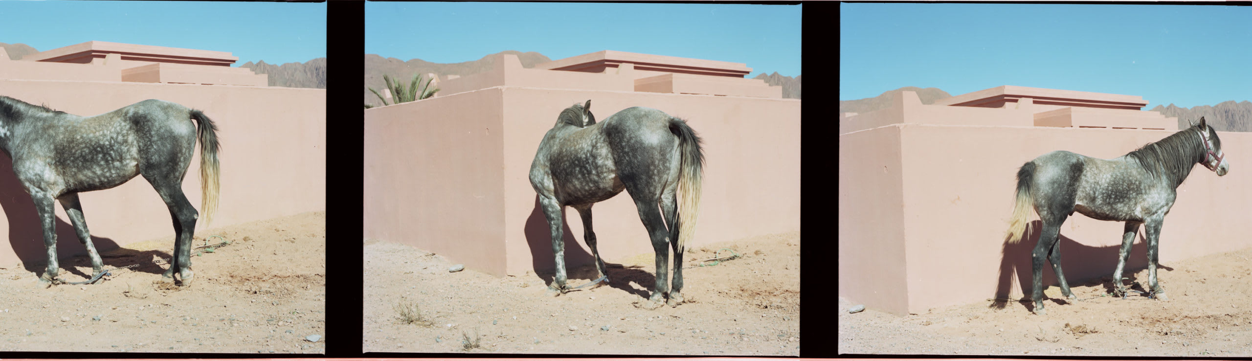 bidules-latest-prends soin de toi Victor Pattyn Maroc