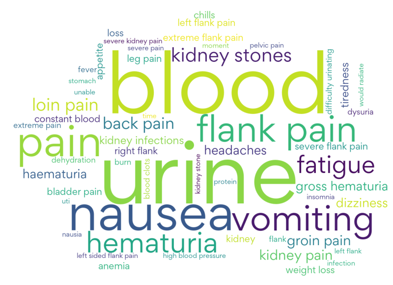 Loin pain haematuria syndrome –