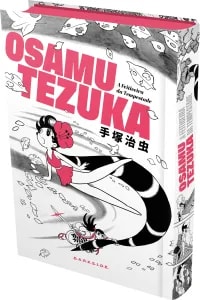 Capa do A Feiticeira Da Tempestade - Vol. Único