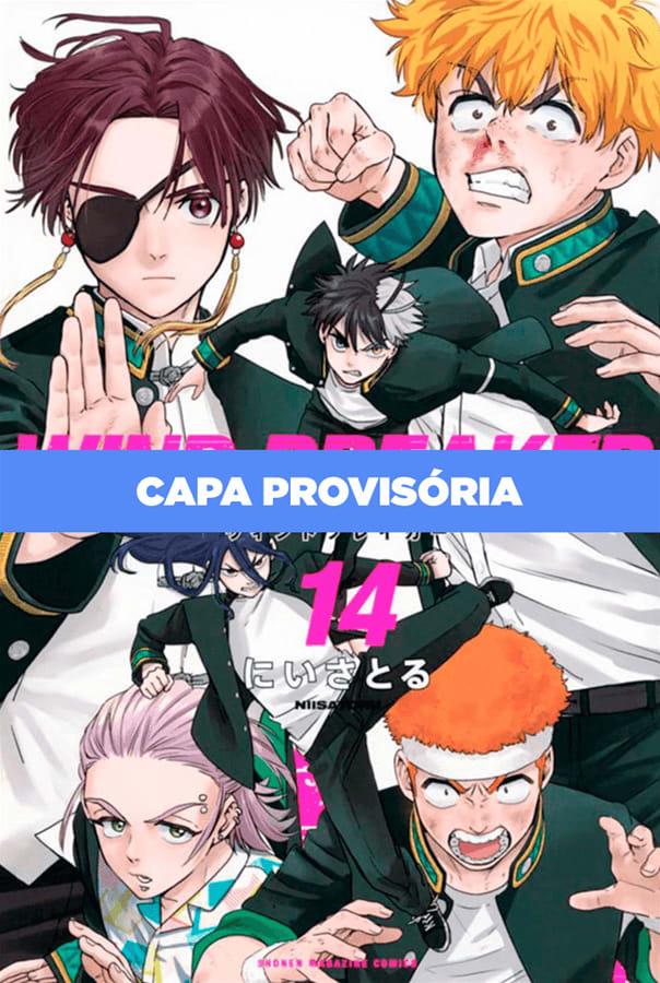 Wind Breaker - Vol. 14