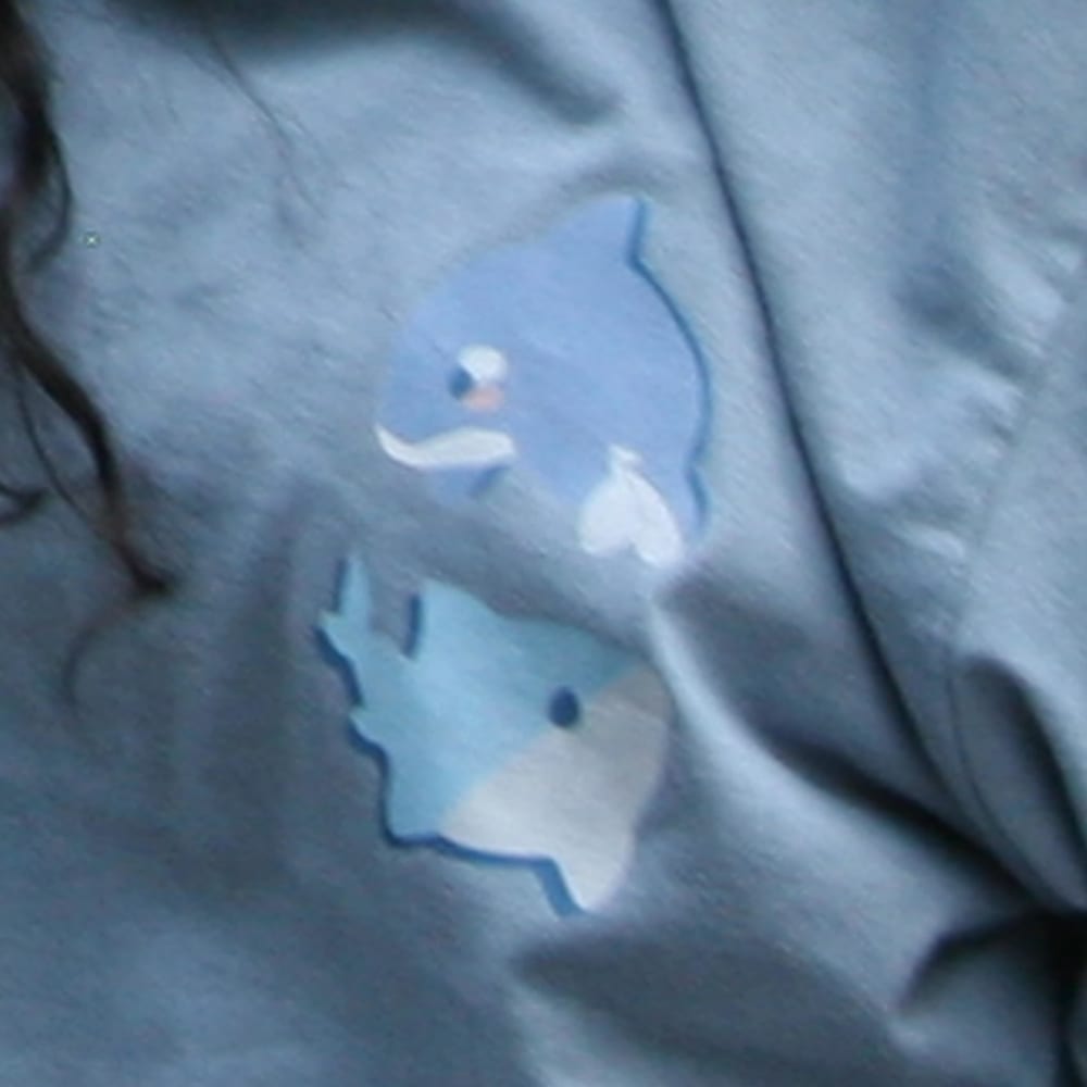 shark1