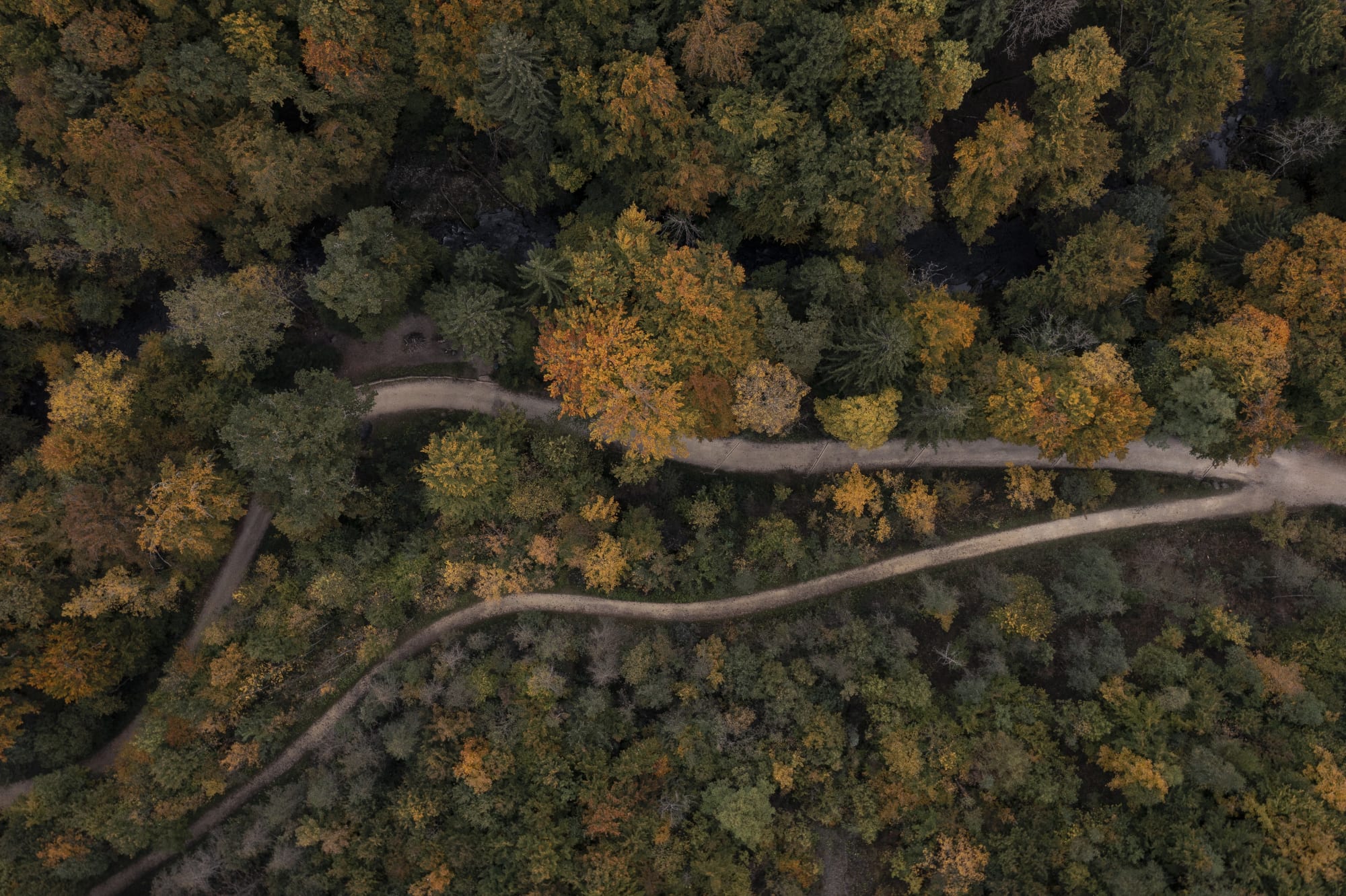 Immagine da drone del Parco Arboretum svizzero vicino ad Aubonne in autunno.