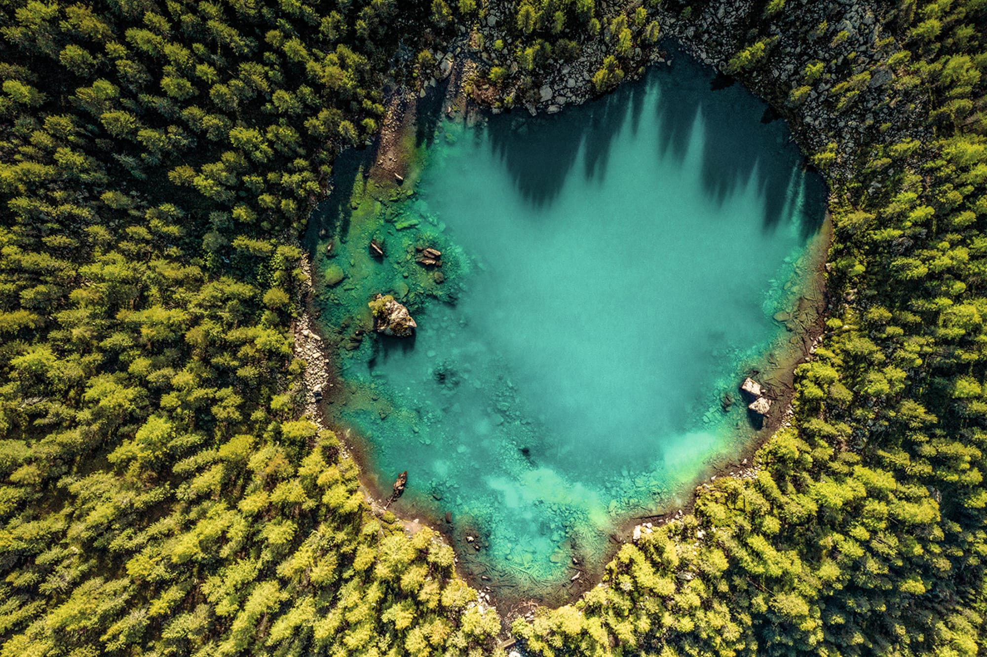 Vista aerea di un lago turchese a forma di cuore circondato dalla foresta.