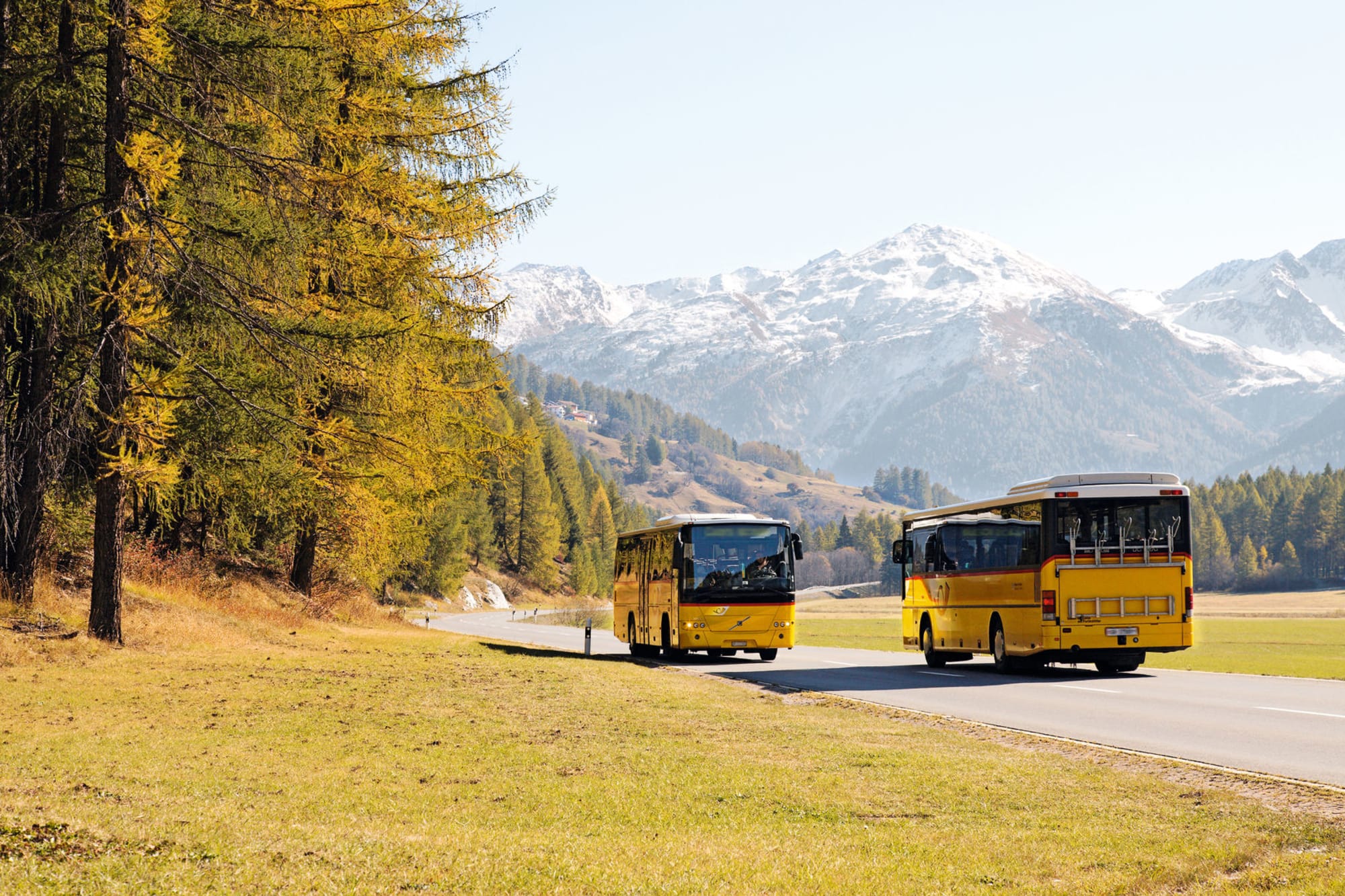 Parc national suisse © CarPostal