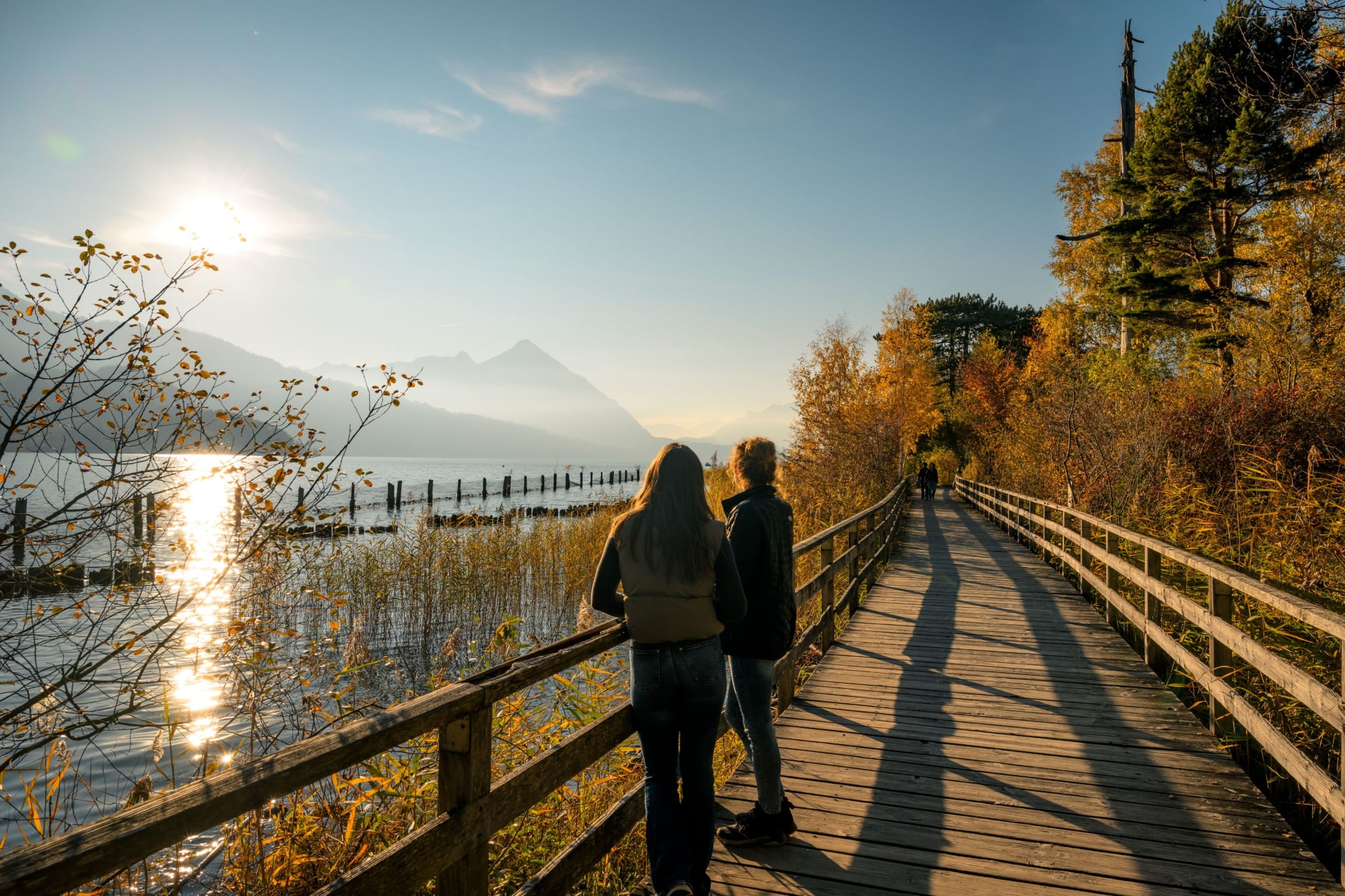 Vista dal Neuhaus sul Lago di Thun e sul Niesen