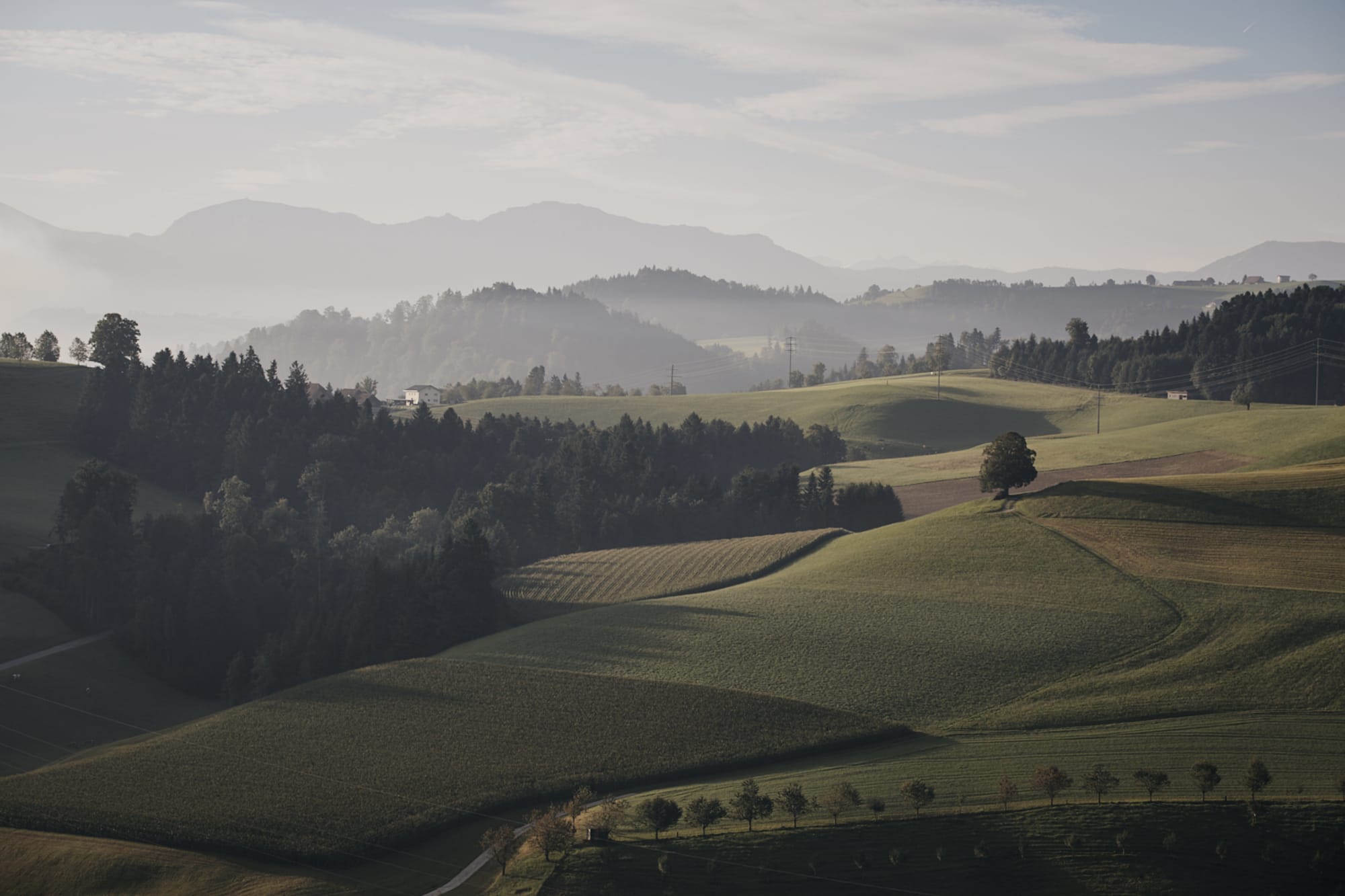 Naturgebiete Napf Willisau
