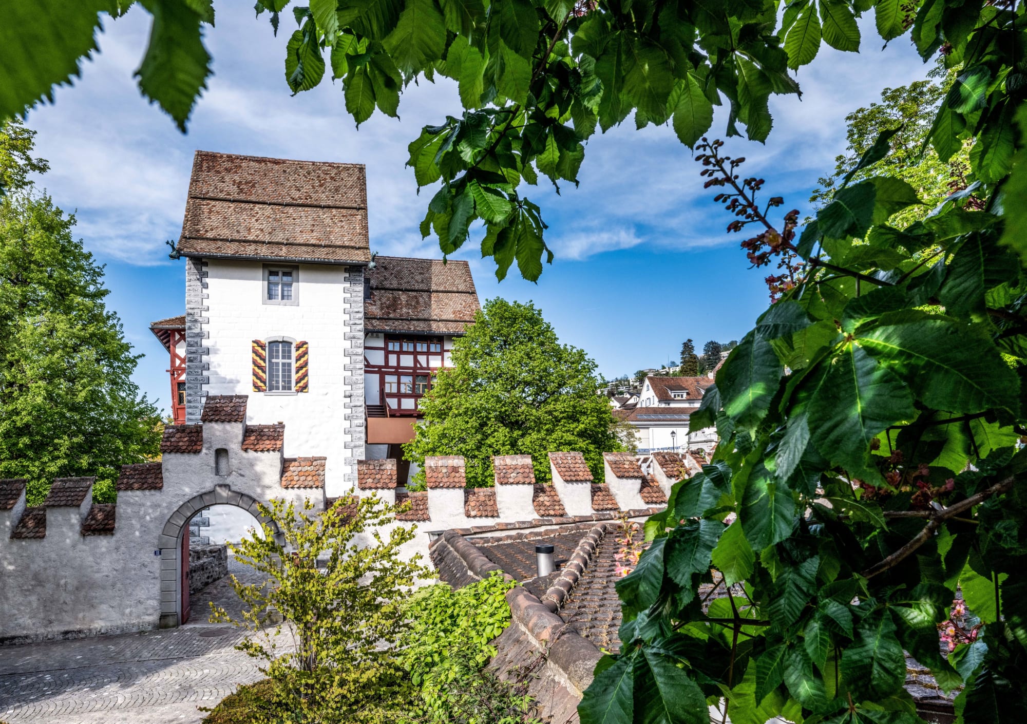Aussenansicht des Museum Burg Zug mit Blättern vom Baum im Vordergrund