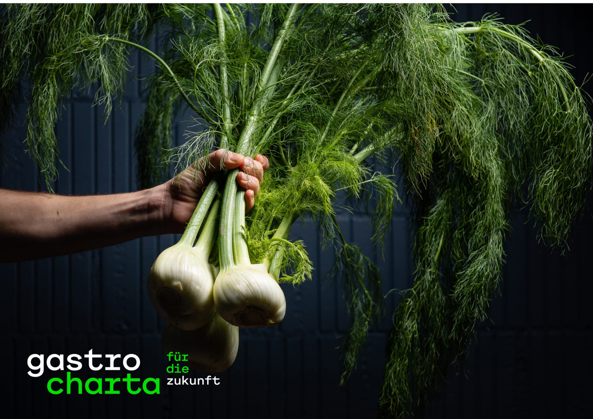 Fenchel Gastro Charta