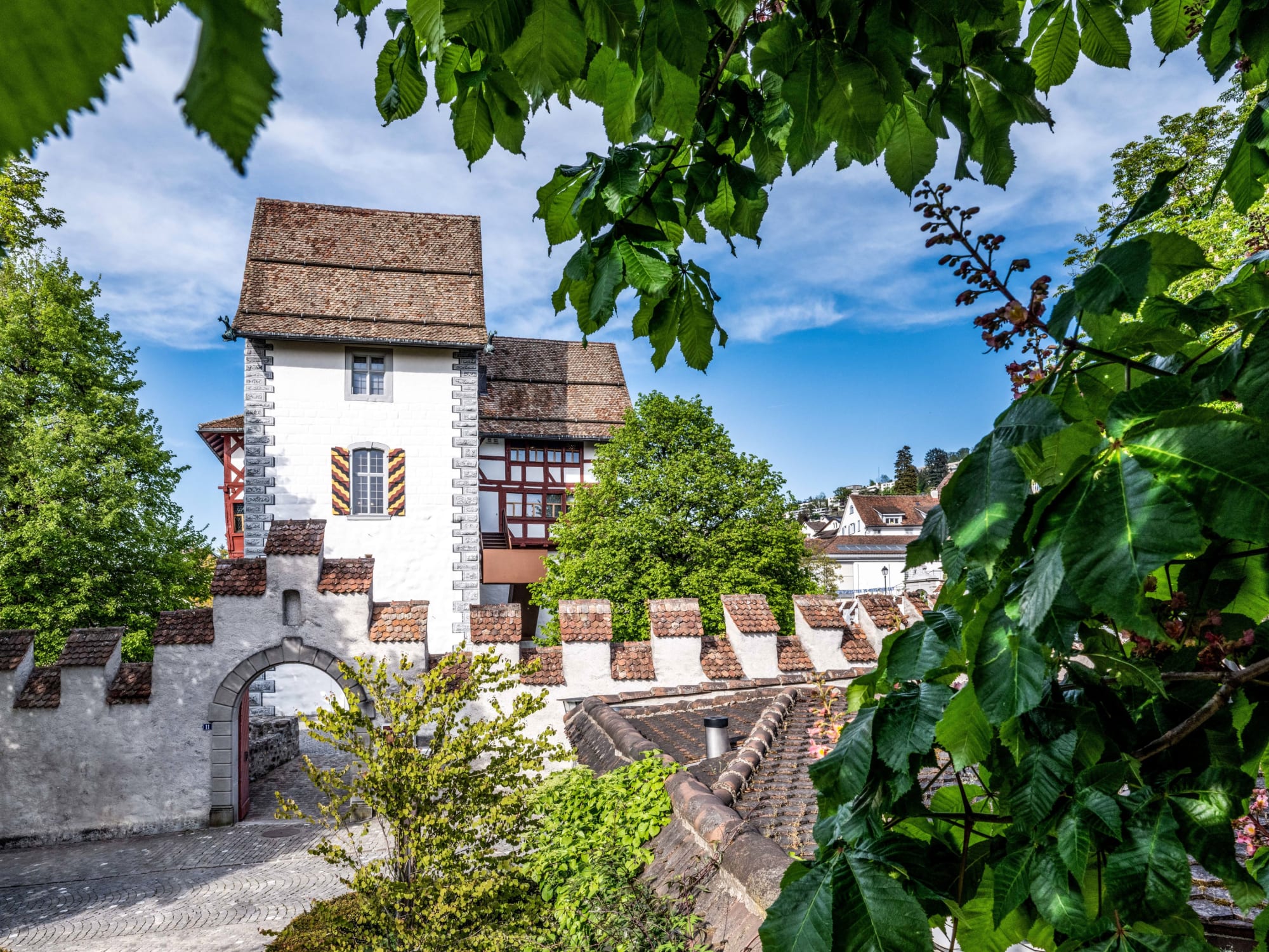 Aussenansicht des Museum Burg Zug mit Blättern vom Baum im Vordergrund