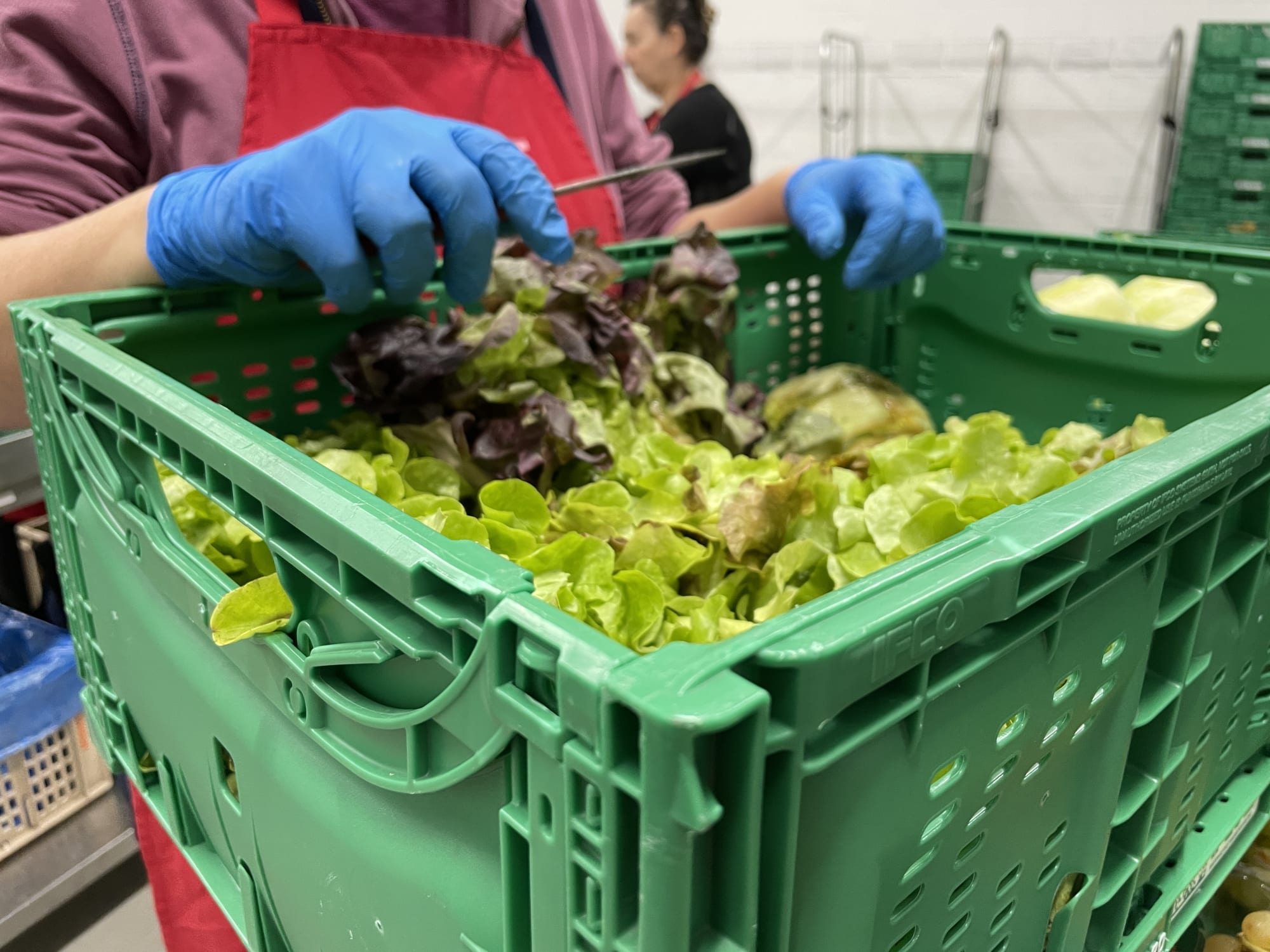 Impegno per la biodiversità e la responsabilità sociale presso DERTOUR Suisse
