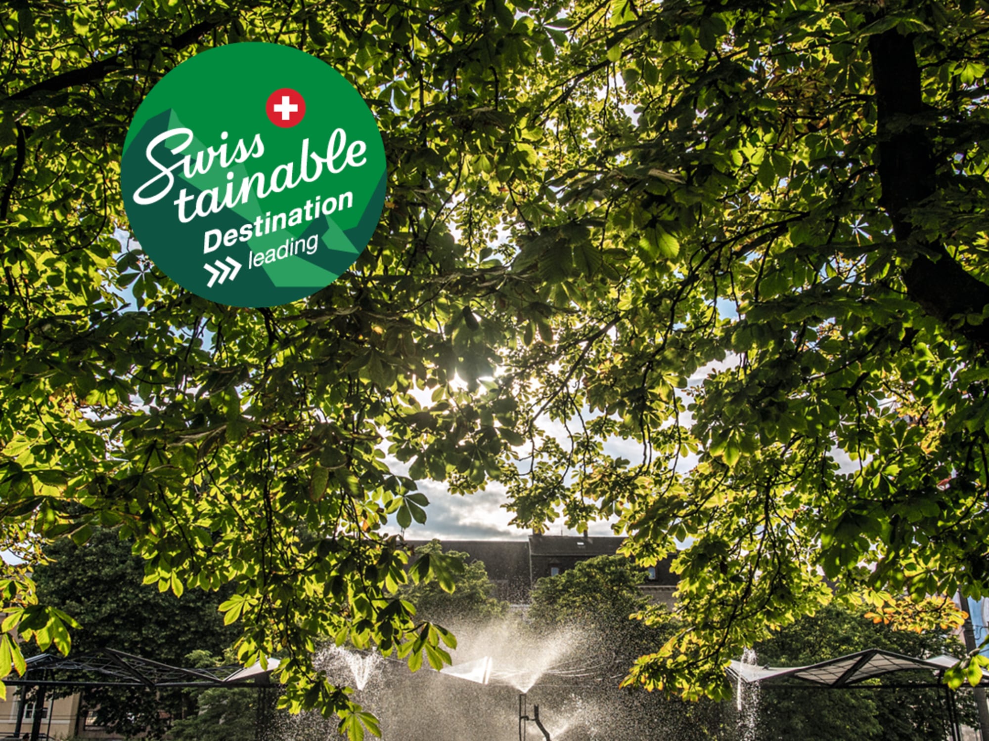 Fontana di Tinguely a Basilea Swisstainable Destination livello III – leading incorniciata da alberi