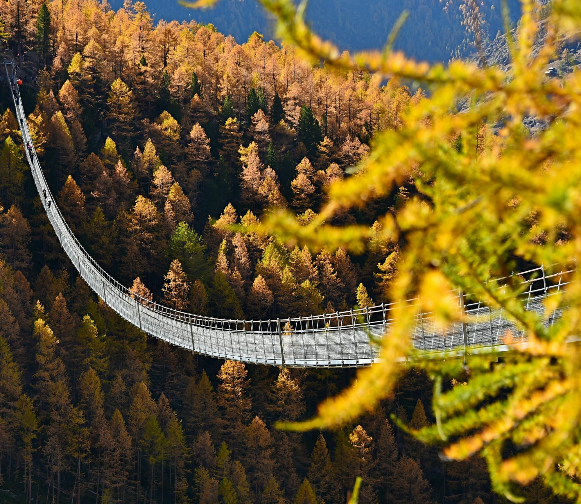Hängebrücke mitten im herbstlichen Wald