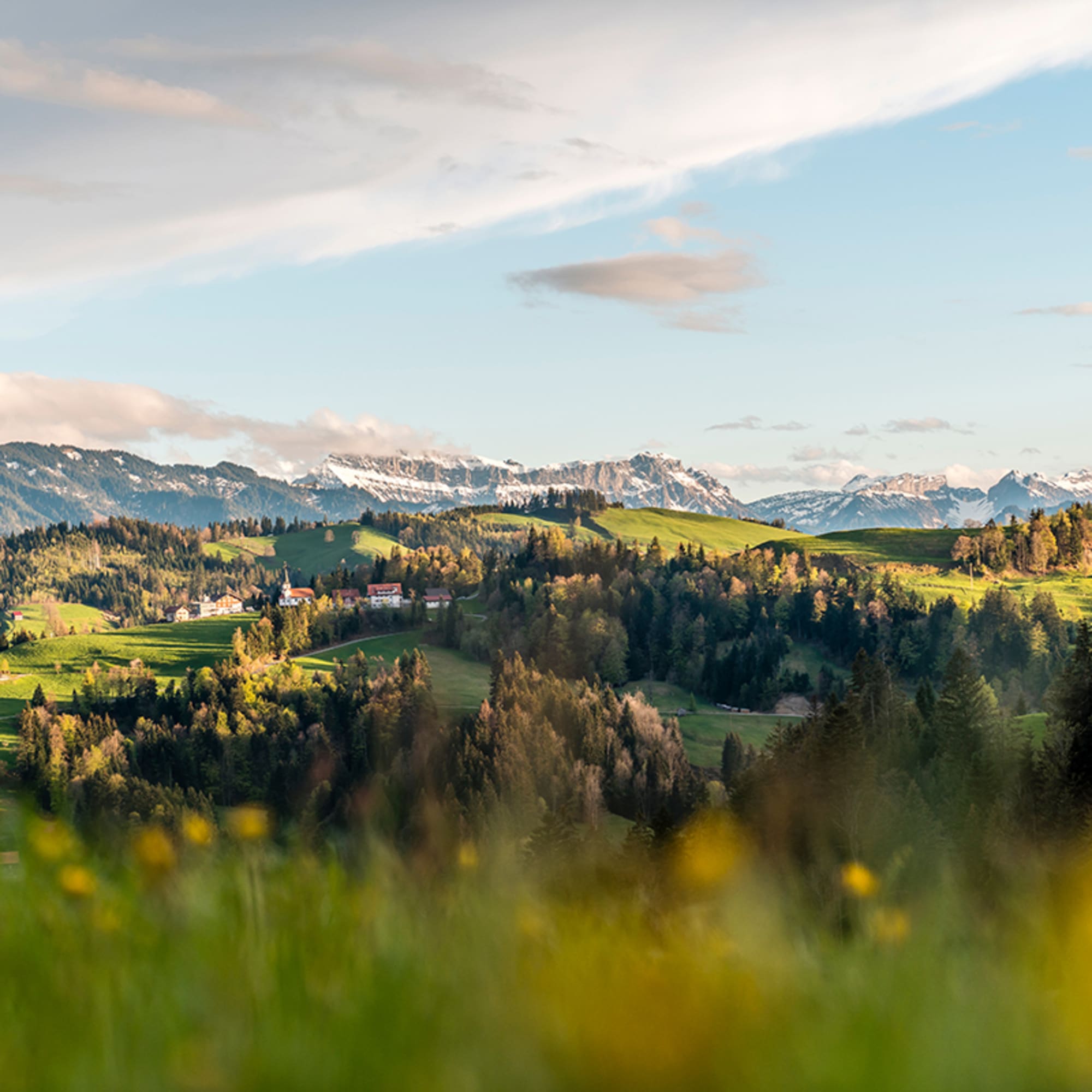 Grüne Hügellandschaft und in der Mitte ein kleines Dorf vor einem Bergpanorama