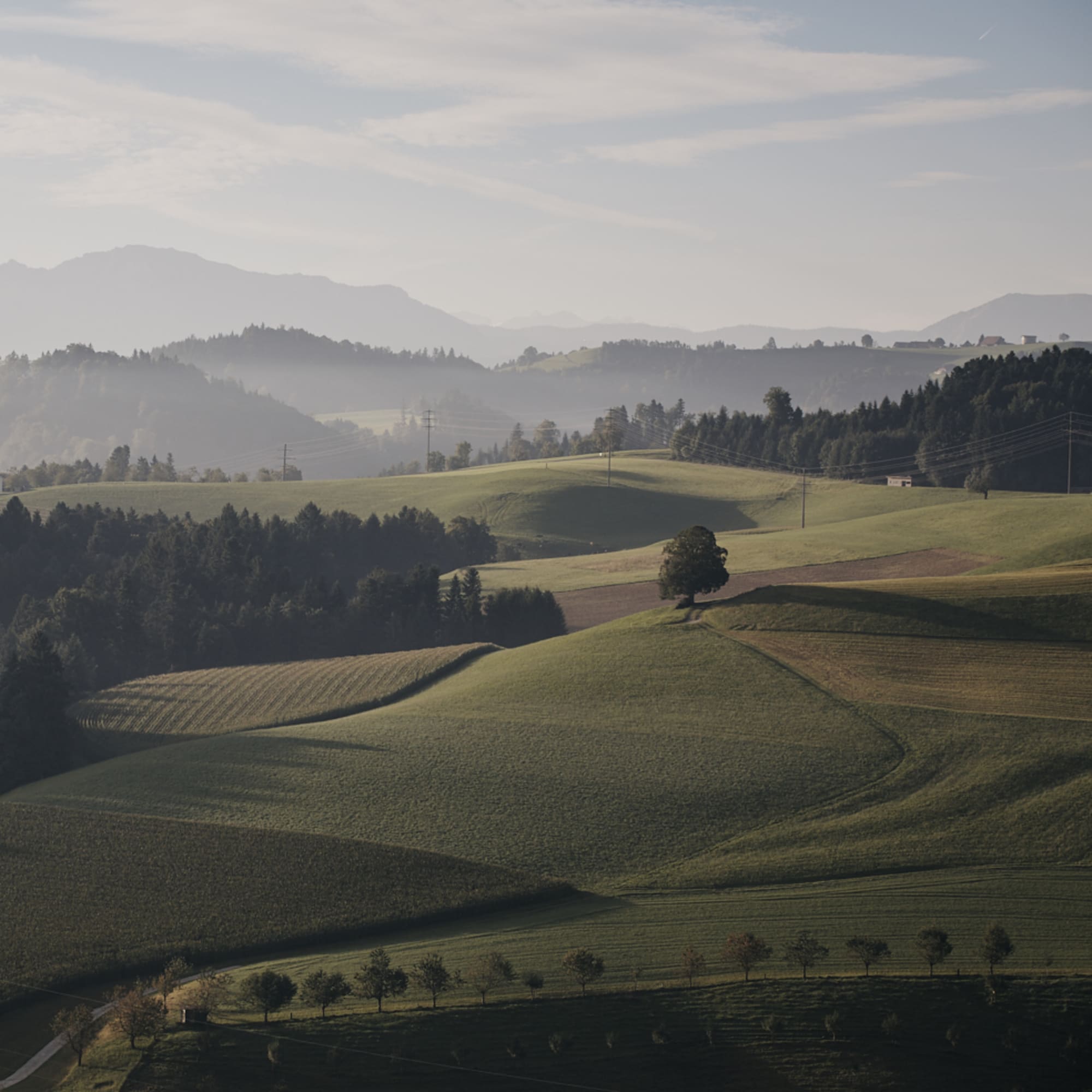 Naturgebiete Napf Willisau