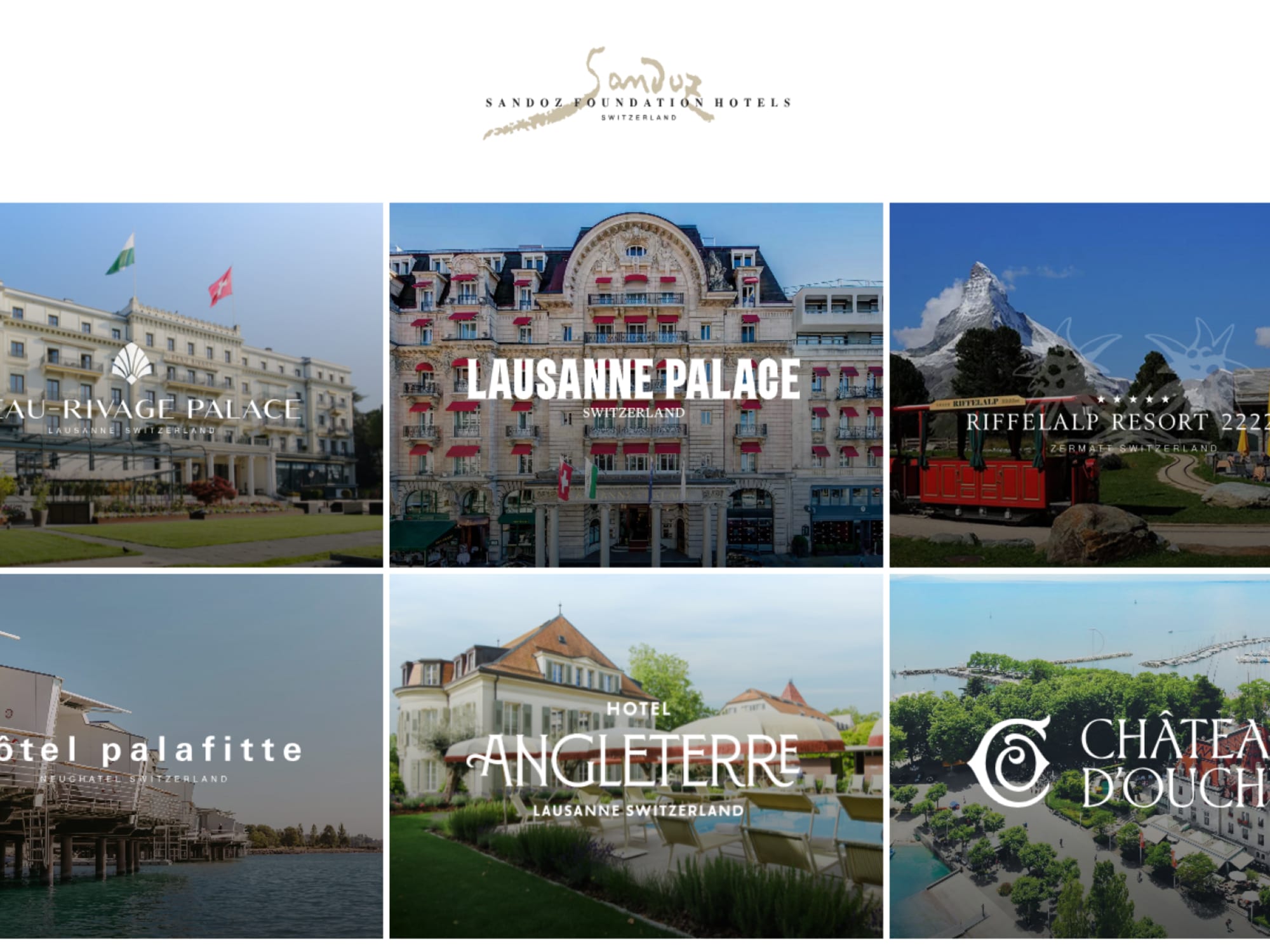 Sandoz Foundation Hotels