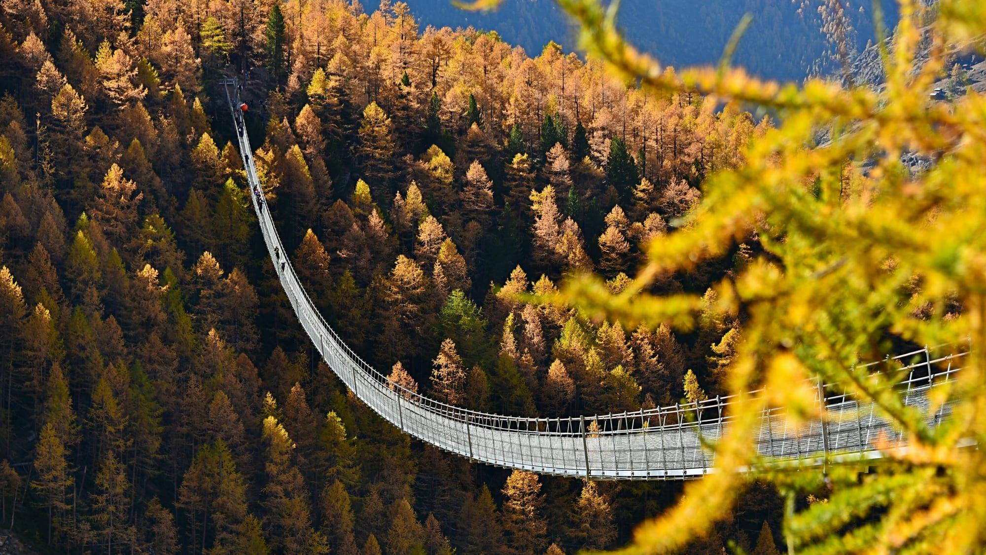 Hängebrücke mitten im herbstlichen Wald
