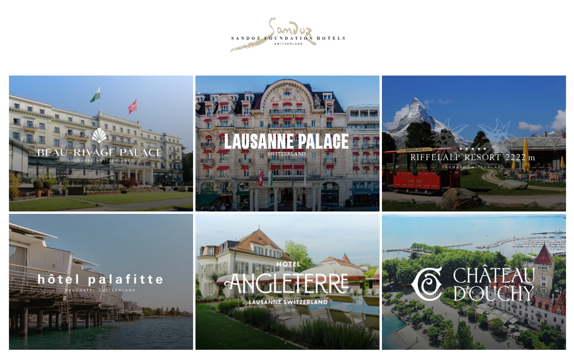 Sandoz Foundation Hotels