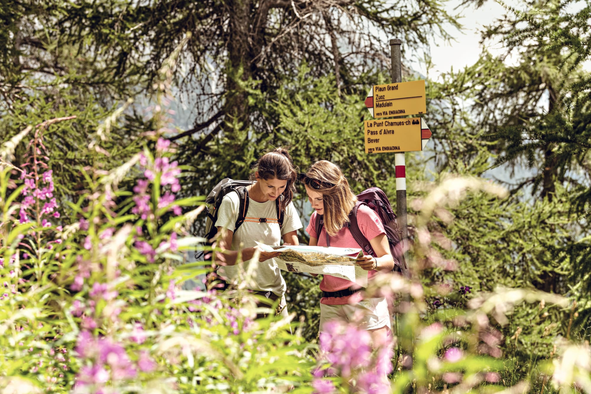 Deux femmes étudient la carte de randonnée, des fleurs s'épanouissent au premier plan.