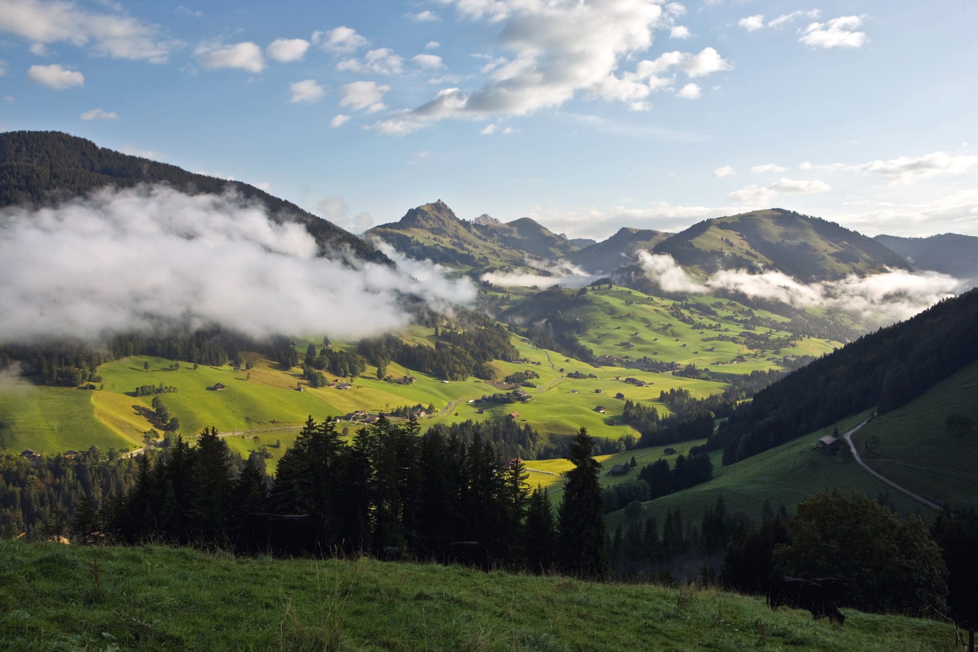 Landschaft mit Hügeln und Wald Schweizer Park