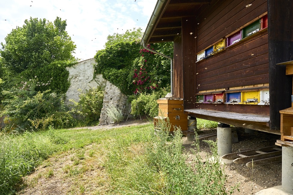 Bienenhaus in der Kartause Ittingen