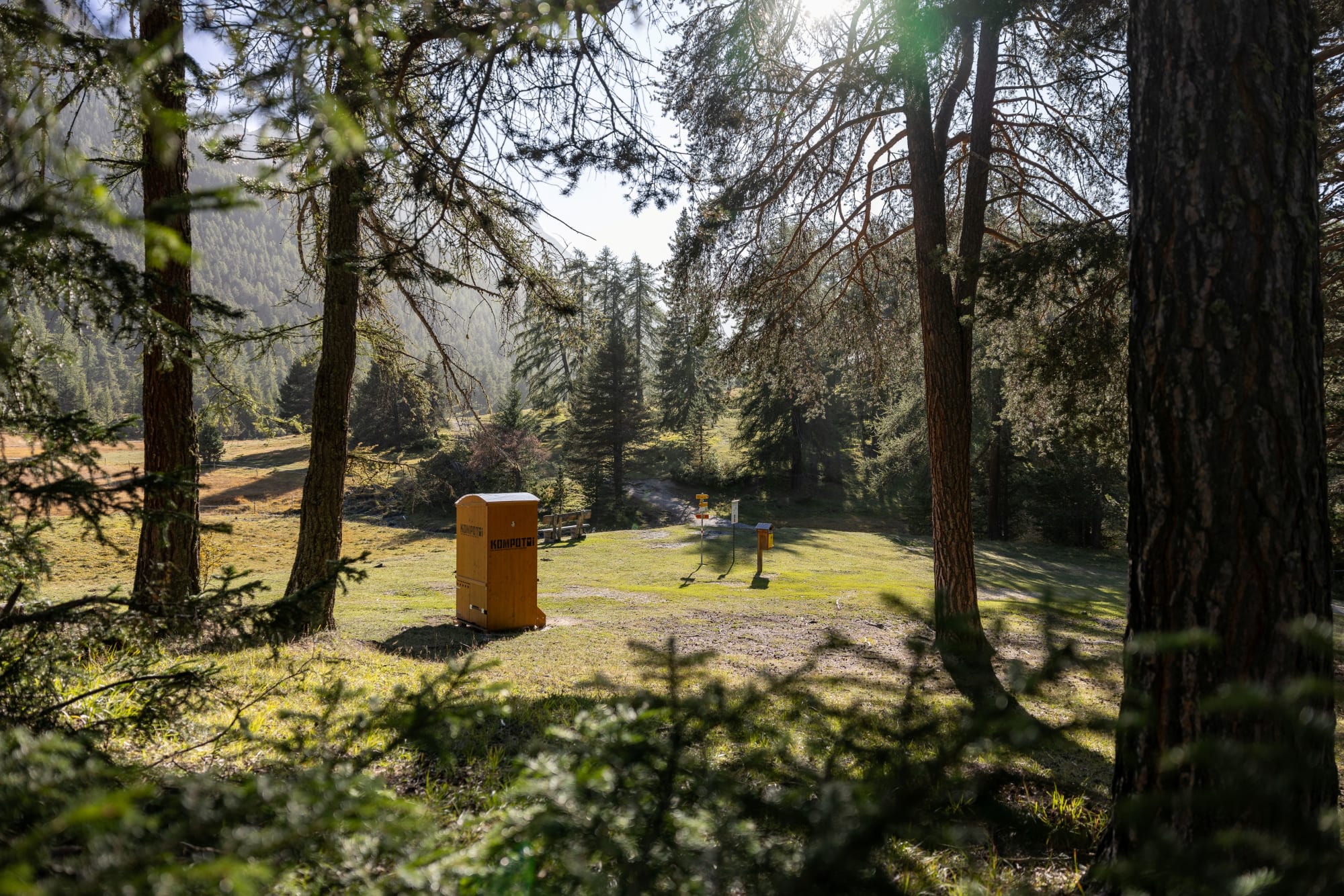 Kompotoi dans une clairière