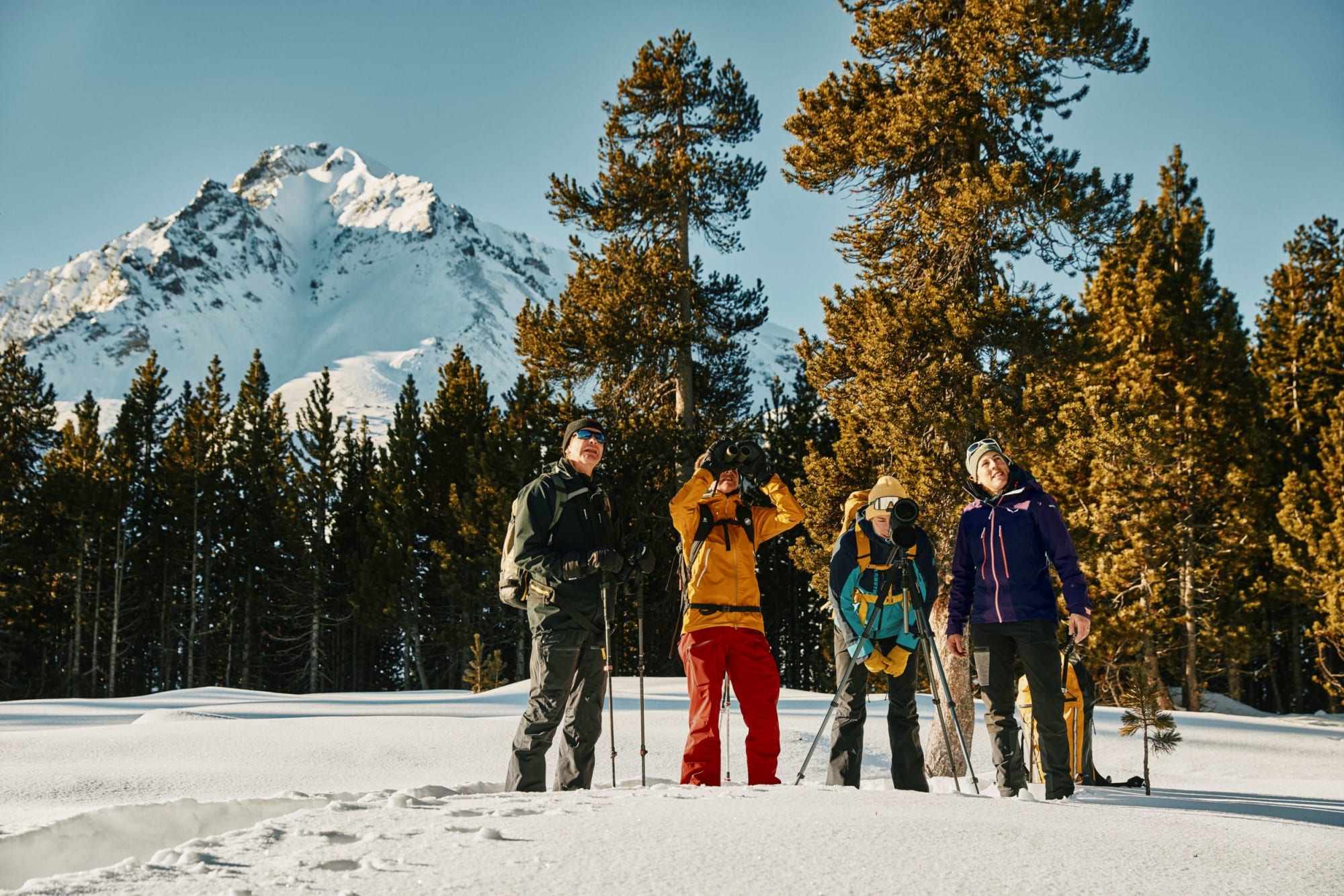 Vier Menschen mit Fernrohren im Schnee