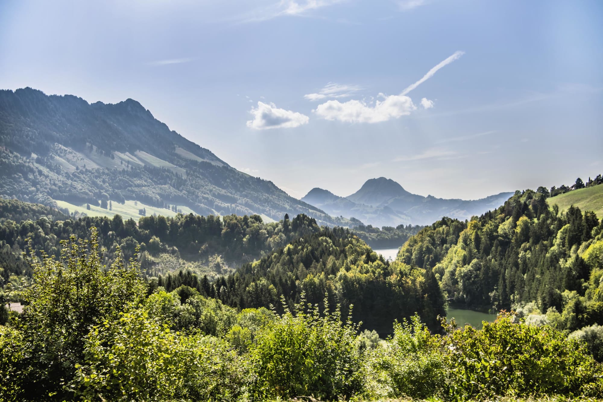 Parc naturel régional Gruyère Pays-d’Enhaut © kleineweltwunder - BAFU