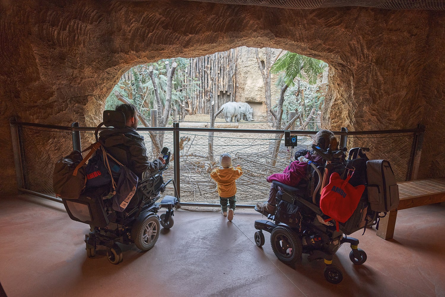 Menschen im Rollstuhl besuchen den Zoo Zürich