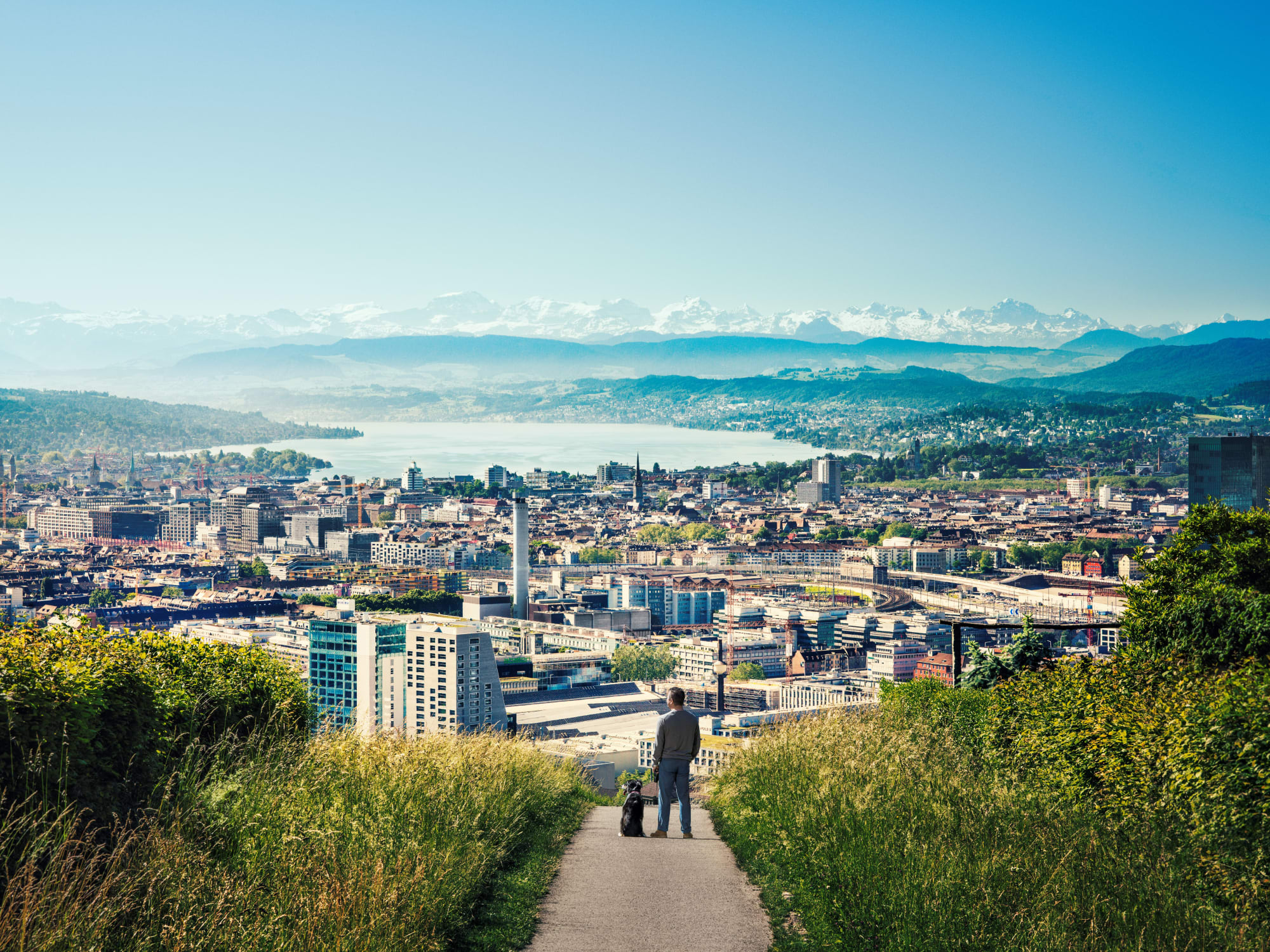 Panorama Aussicht über Zürich