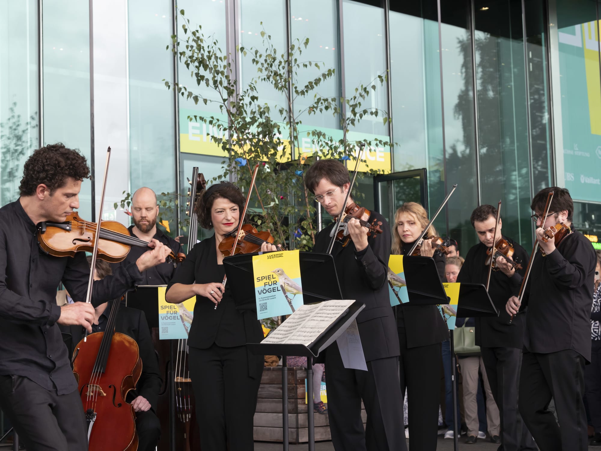 Streichorchester spielt draussen