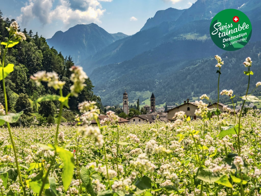 Blick auf die Valposchiavo