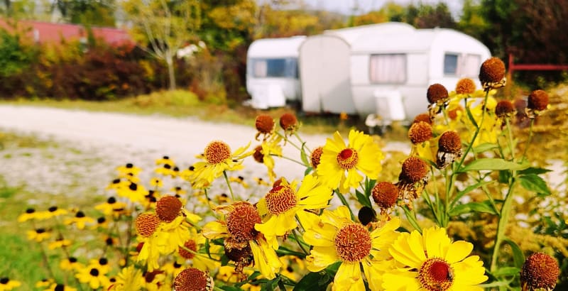 ECOCAMPING – Die Nachhaltigkeit für Campings
