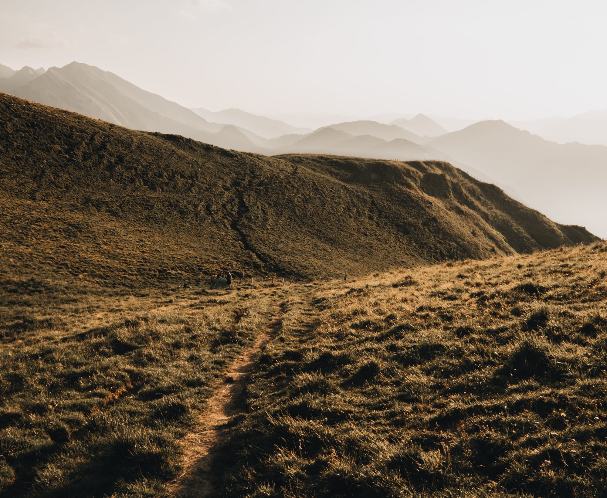 Abendstimmung auf einem Wanderweg in der Schweiz
